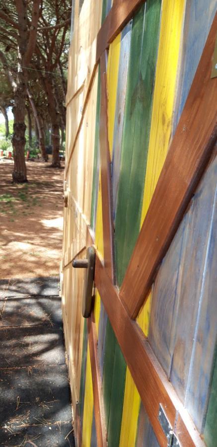 The Pineforest Cabin Chiclana de la Frontera Exterior photo