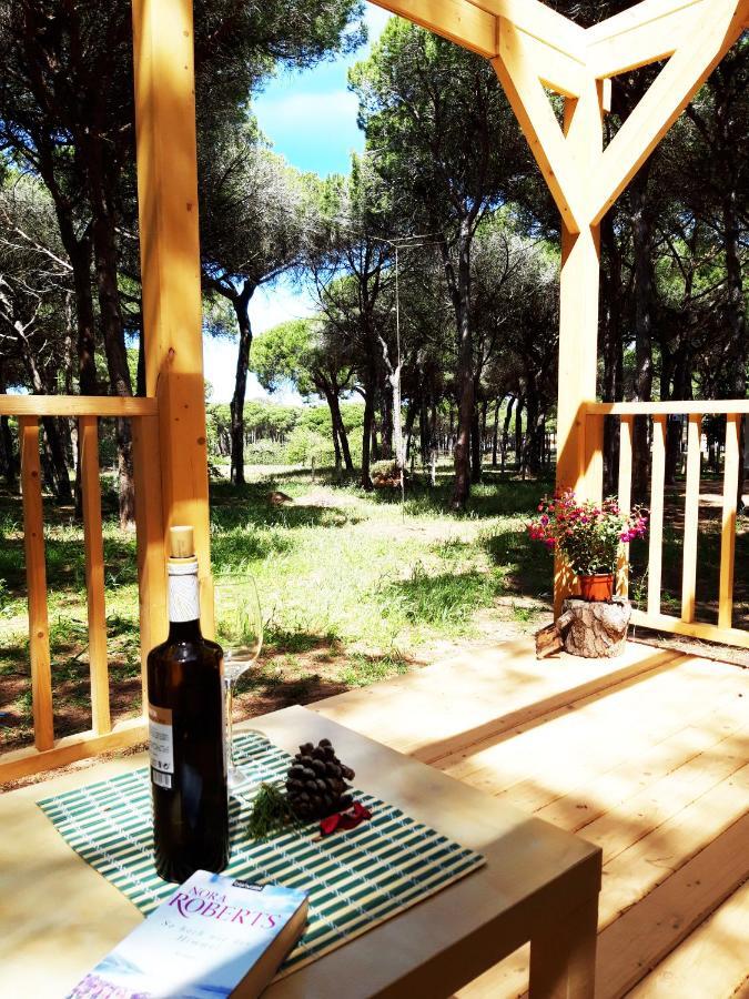 The Pineforest Cabin Chiclana de la Frontera Exterior photo